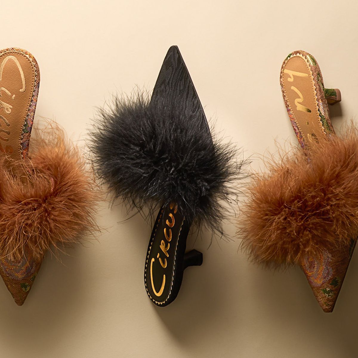 Three Gemma Fluff Kitten Heel Mules with pointed toes and feather trim in black and brown.