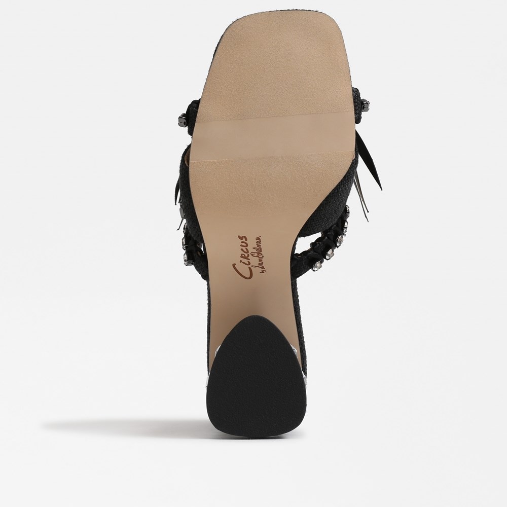 Circus NY by Sam Edelman Vera Block Heel Mule | Womens Heels