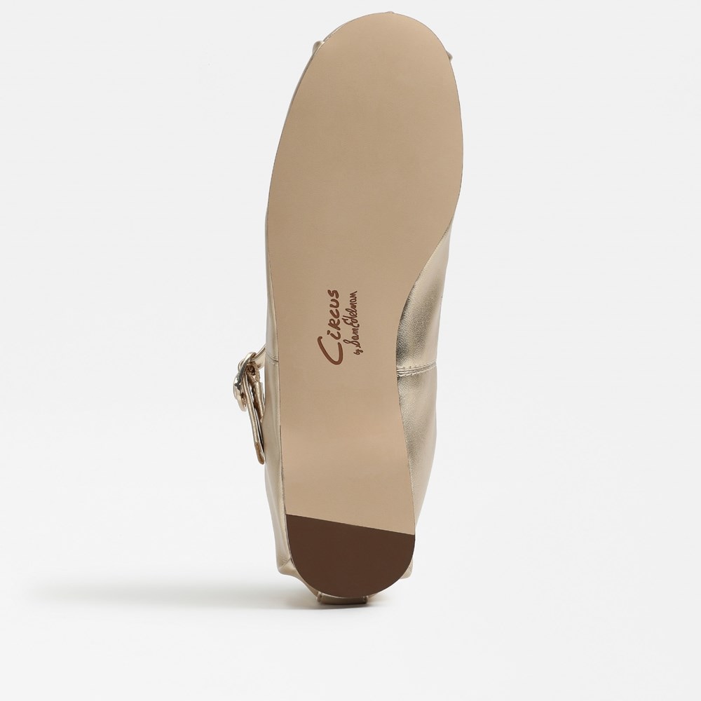 Circus NY by Sam Edelman Zuri Strap Ballet Flat | Womens Flats