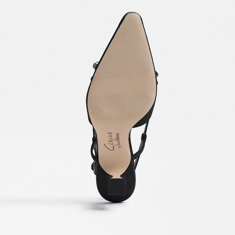 Circus NY by Sam Edelman Monica Slingback Pump | Womens Heels