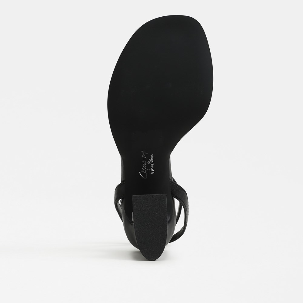 Circus NY by Sam Edelman Holly Block Heel Sandal | Womens Heels