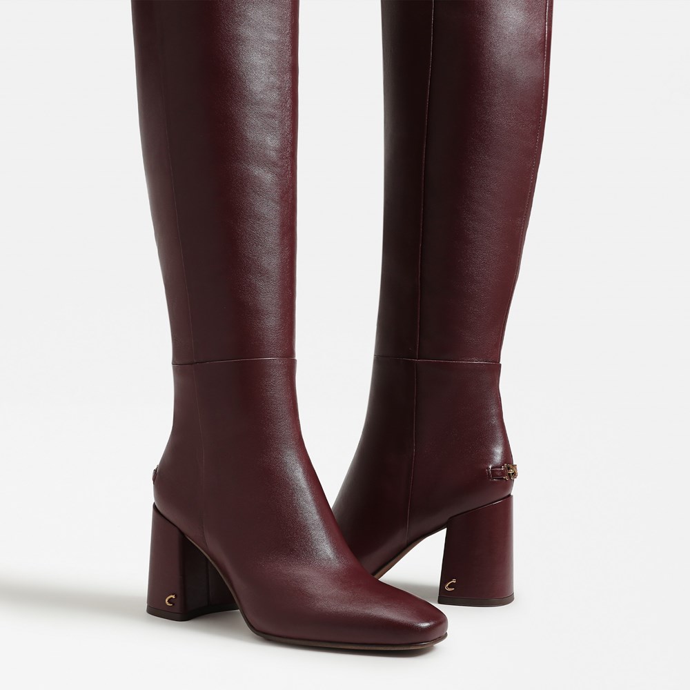 Circus NY by Sam Edelman Brigid Over The Knee Boot | Womens
