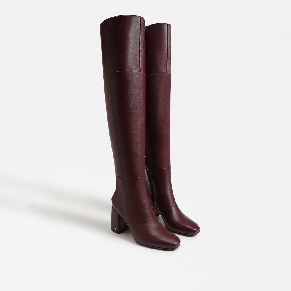 Circus NY by Sam Edelman Brigid Over The Knee Boot | Womens