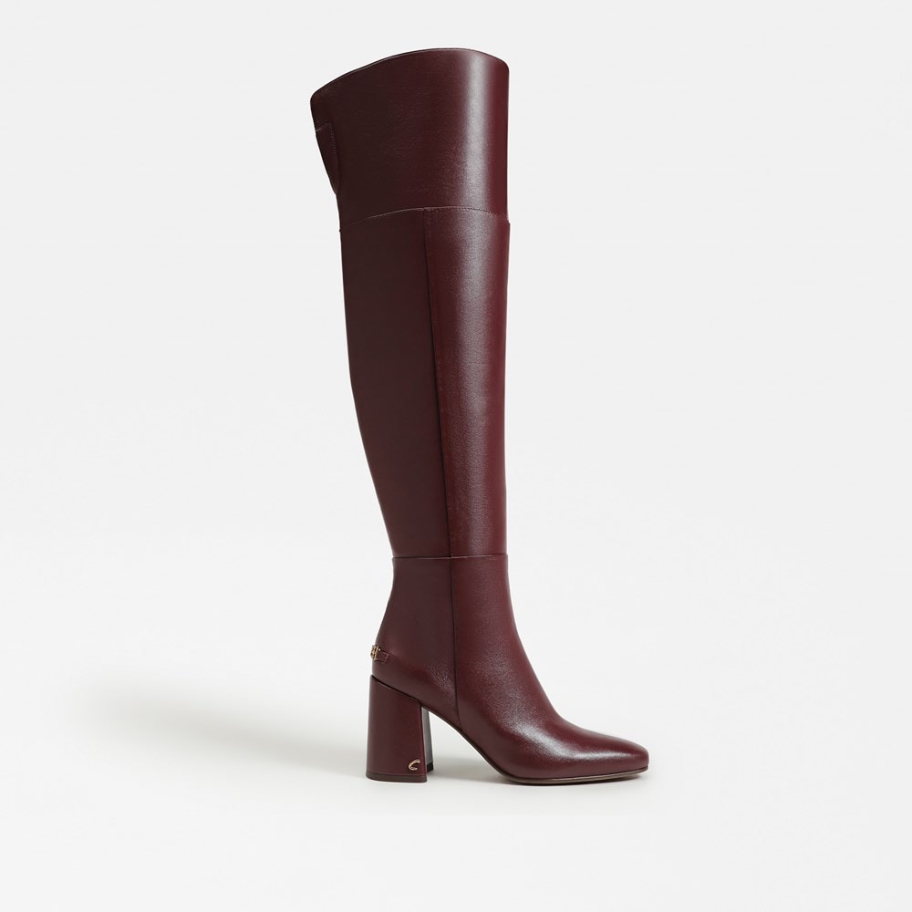 Circus NY by Sam Edelman Brigid Over The Knee Boot | Womens