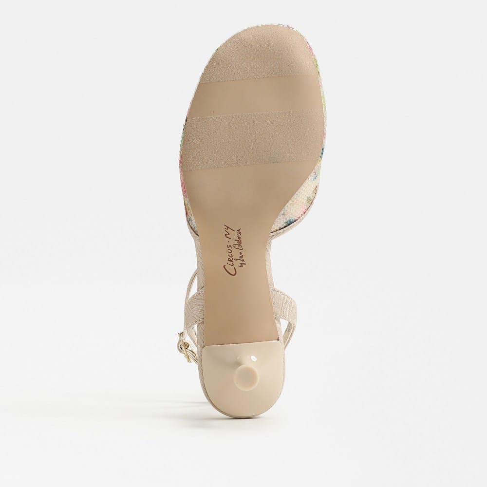 Circus NY by Sam Edelman Rosetta Kitten Heel Pump | Womens Heels