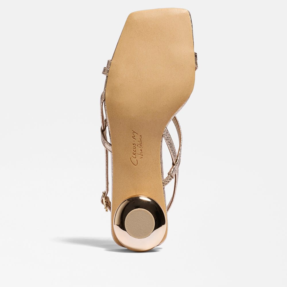 Circus NY by Sam Edelman Caia Ankle Strap Heeled Sandal | Womens
