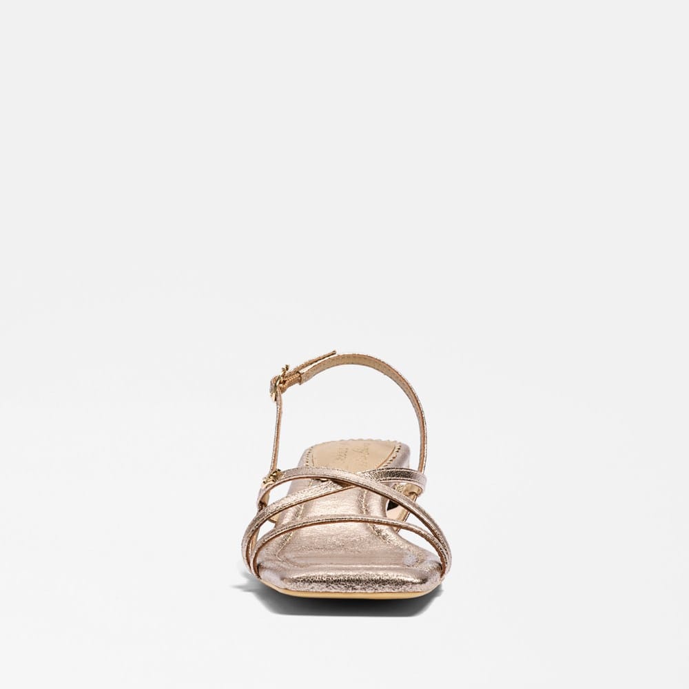 Circus NY by Sam Edelman Caia Ankle Strap Heeled Sandal | Womens