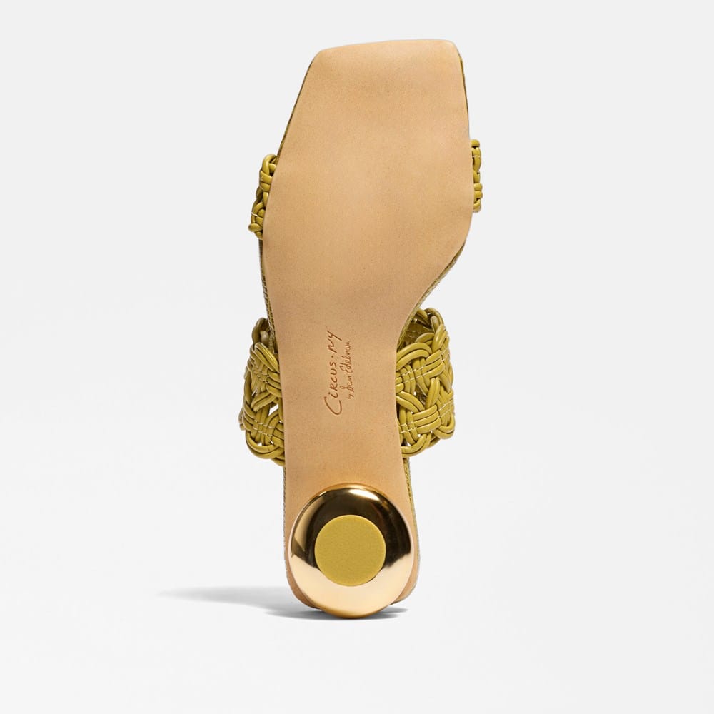 Circus NY by Sam Edelman Clover Slide Sandal | Womens Sandals