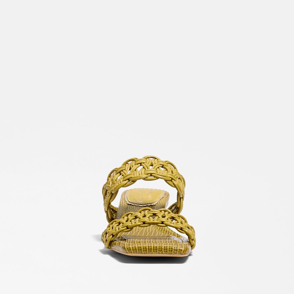 Circus NY by Sam Edelman Clover Slide Sandal | Womens Sandals