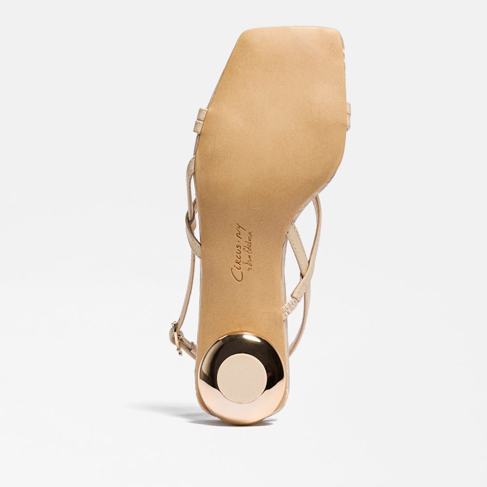 セルディア　カリー Circus NY by Sam Edelman Caia Ankle Strap Heeled Sandal | Womens