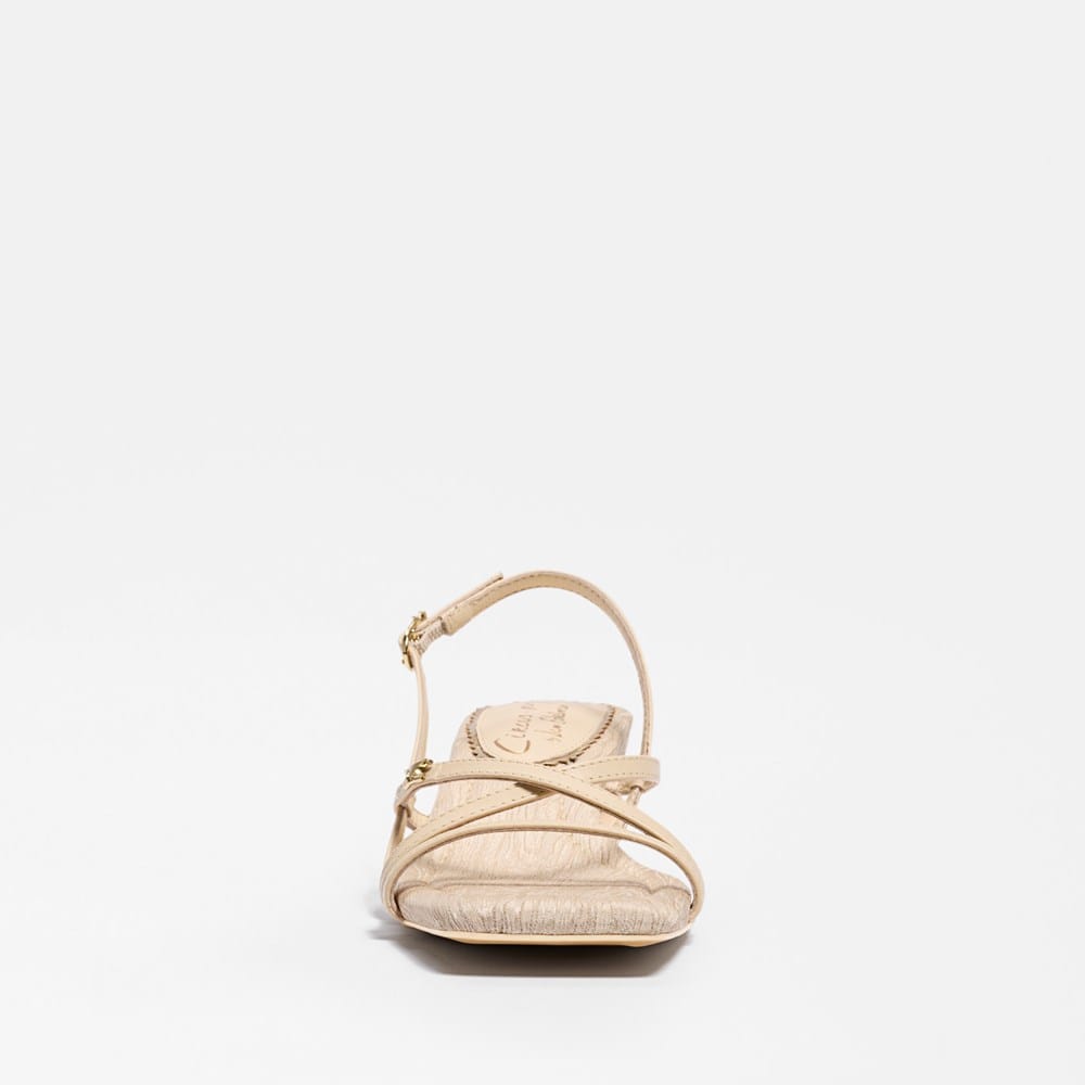 Circus NY by Sam Edelman Caia Ankle Strap Heeled Sandal | Womens