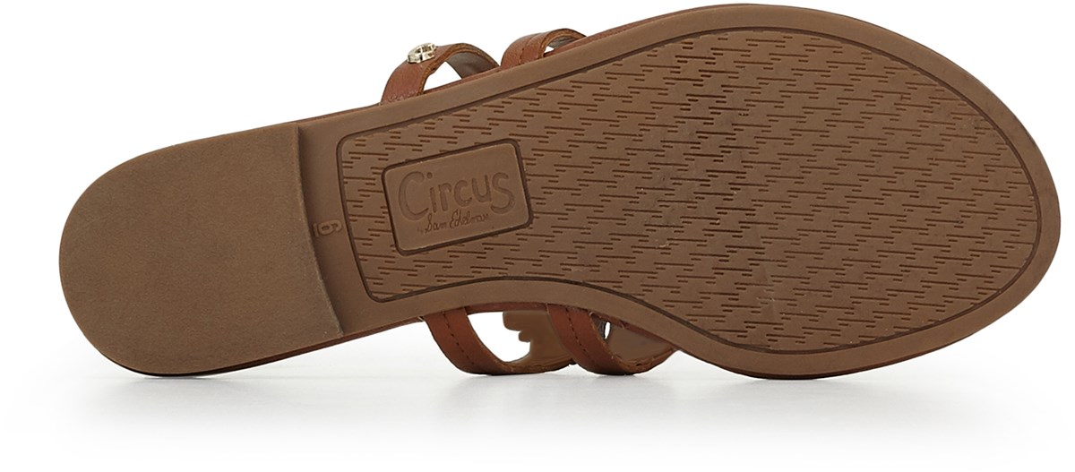 Circus sandals deals famous footwear