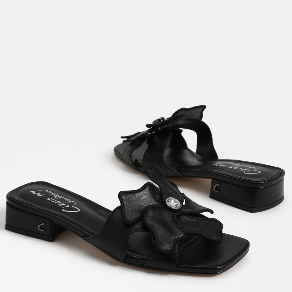 Circus NY by Sam Edelman Jolie Slide Sandal | Womens Sandals